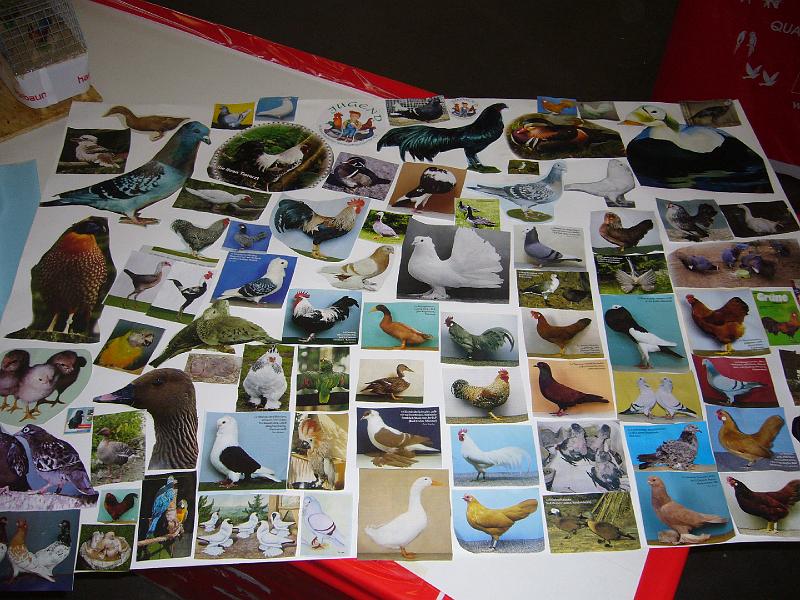 Muenster 2008 024.jpg